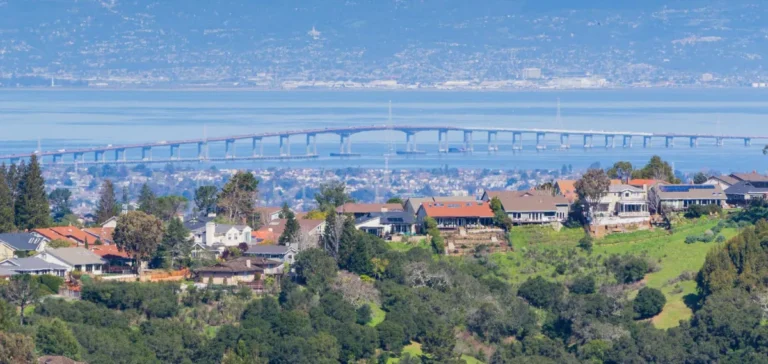 Belmont Moving Company