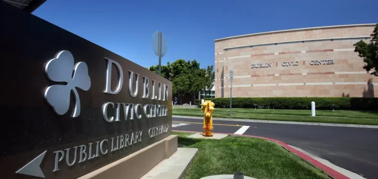 Dublin moving company