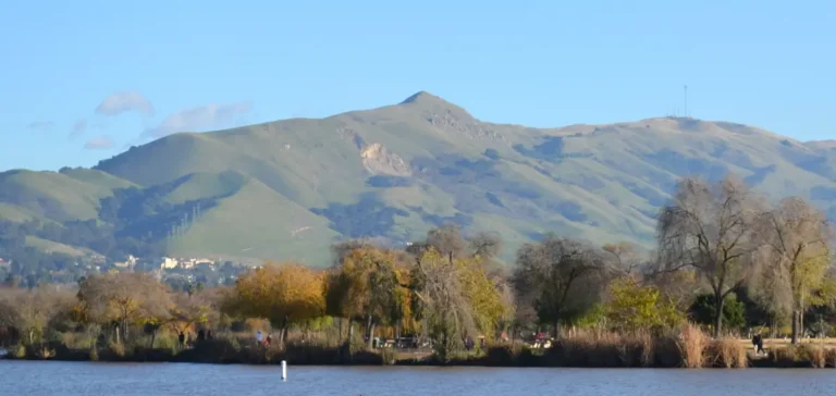 Fremont moving company