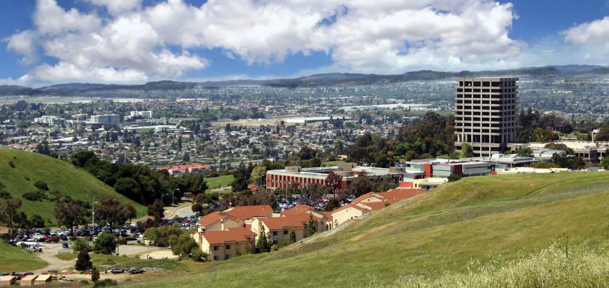 Hayward moving company