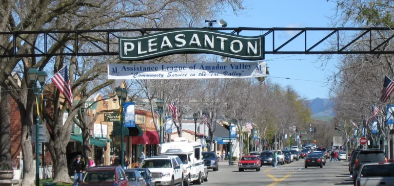 Pleasanton moving company