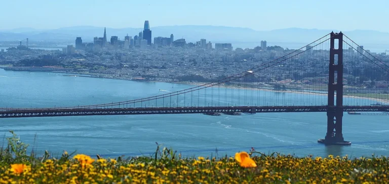 best movers San Francisco