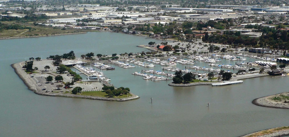 San Leandro moving company