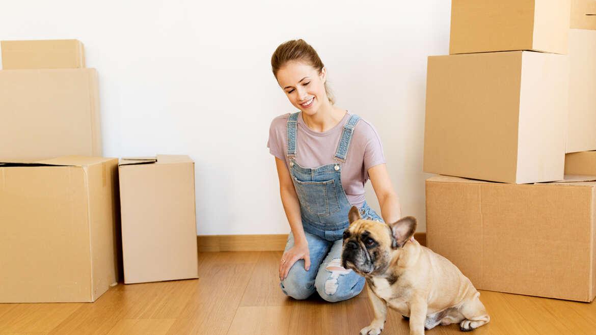 The Best Way to Move with Dogs and Cats happy woman with dog and boxes moving to new home 2021 04 03 03 36 00 utc 1170x658 1