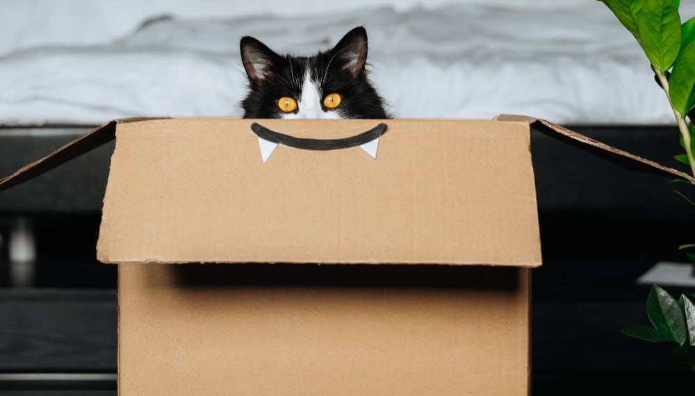 7 Hidden Costs of Moving