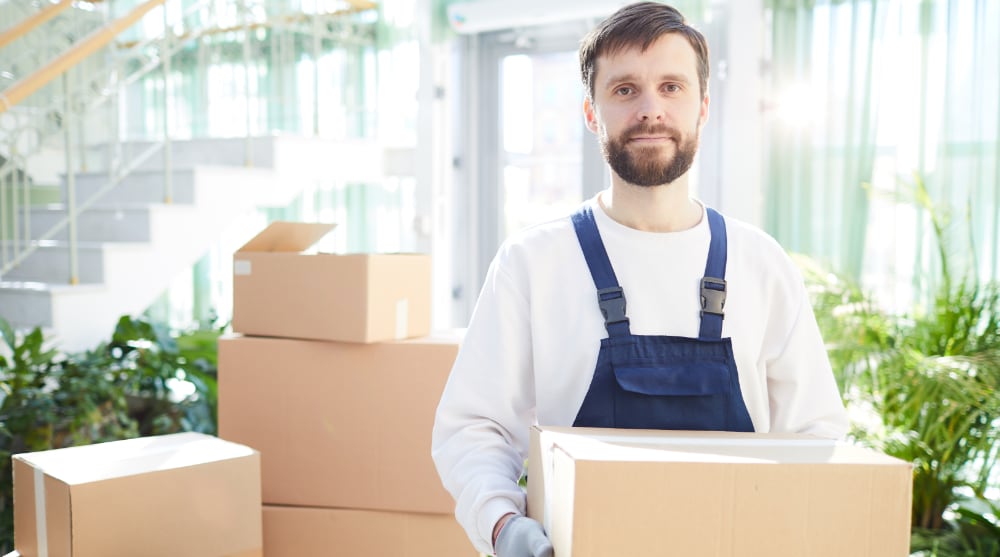Professional mover carry boxes